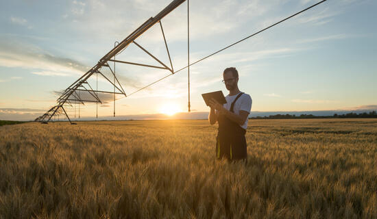 Farmer standing in wheat field under irrigation system